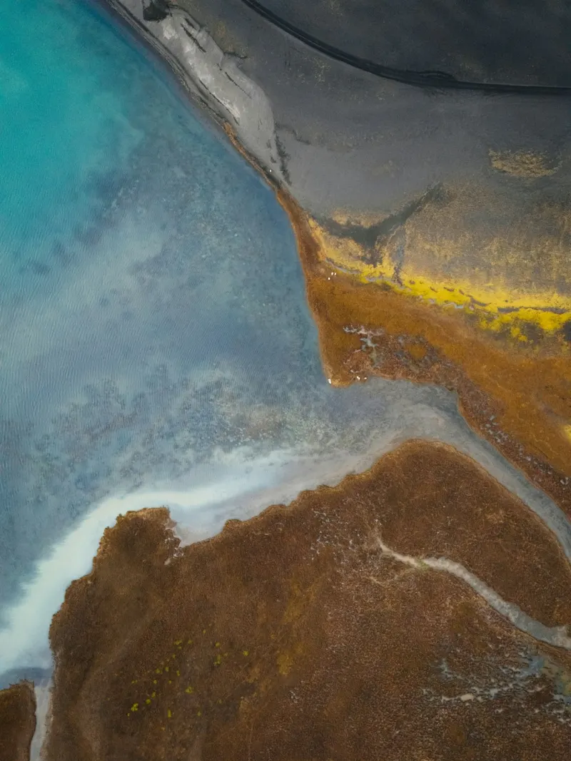 Escale Islande — Miel, vanille, feuillus