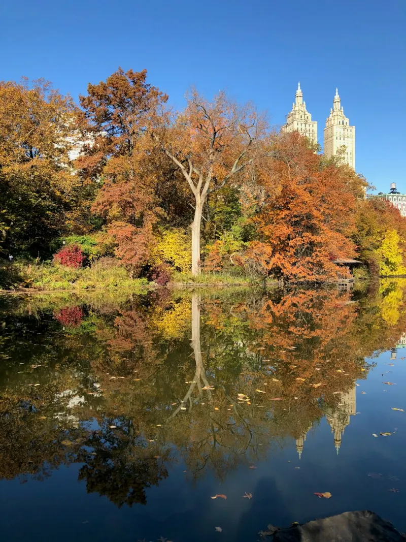 Escale New York — Cèdre, pomme, ambre